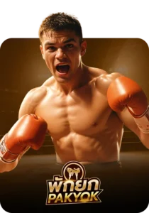 online-sports Hengplay